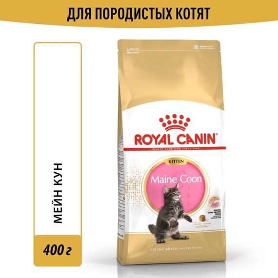 Royal Canin Maine Coon Kitten Корм сухой сбалансированный для котят породы Мэйн Кун 400 Royal Canin Maine Coon Kitten Корм сухой сбалансированный для котят породы Мэйн Кун 400